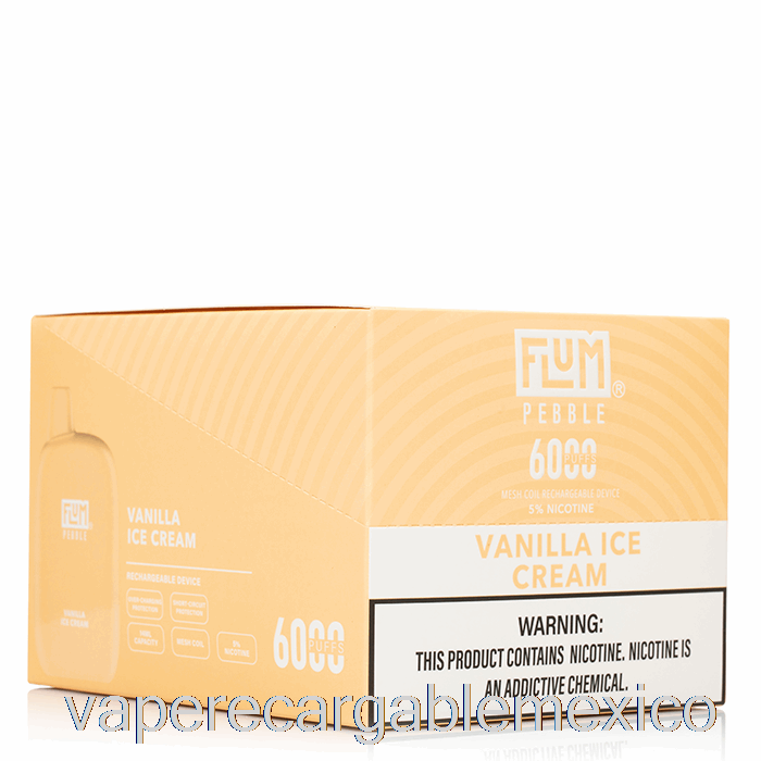 Vape Recargable [paquete De 10] Flum Pebble 6000 Desechable